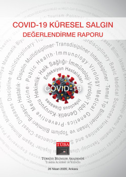 2.Versiyon: TÜBA COVID-19 Küresel Salgın Değerlendirme Raporu