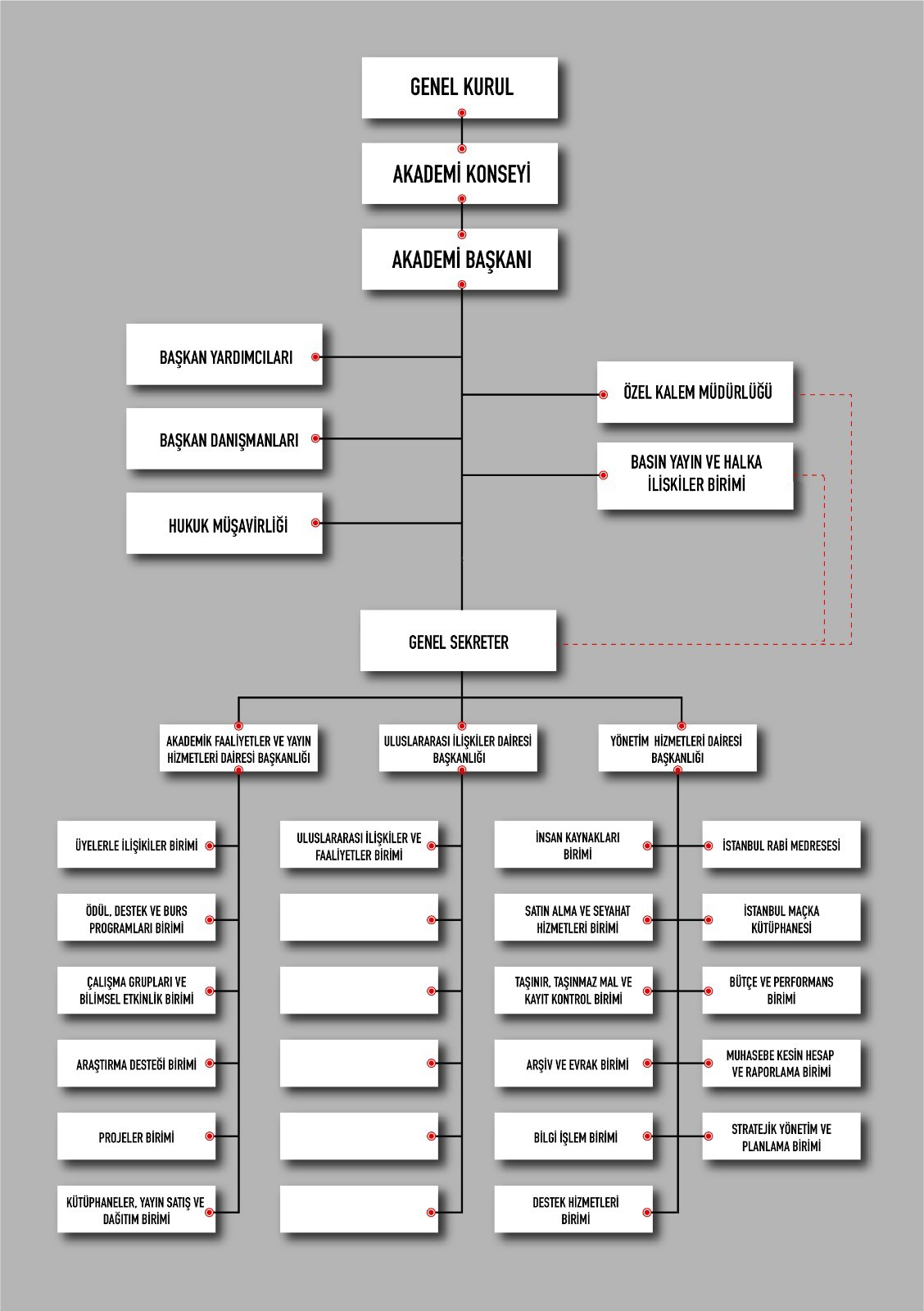 Organizasyon Şeması